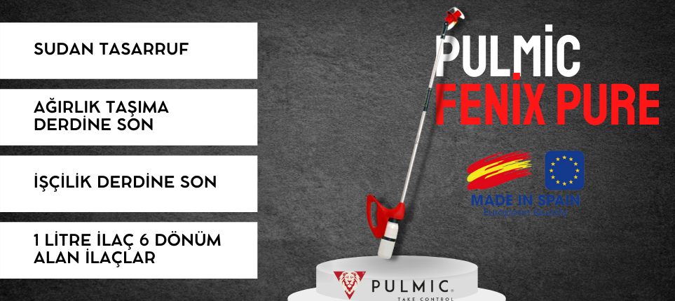 pulmic-2